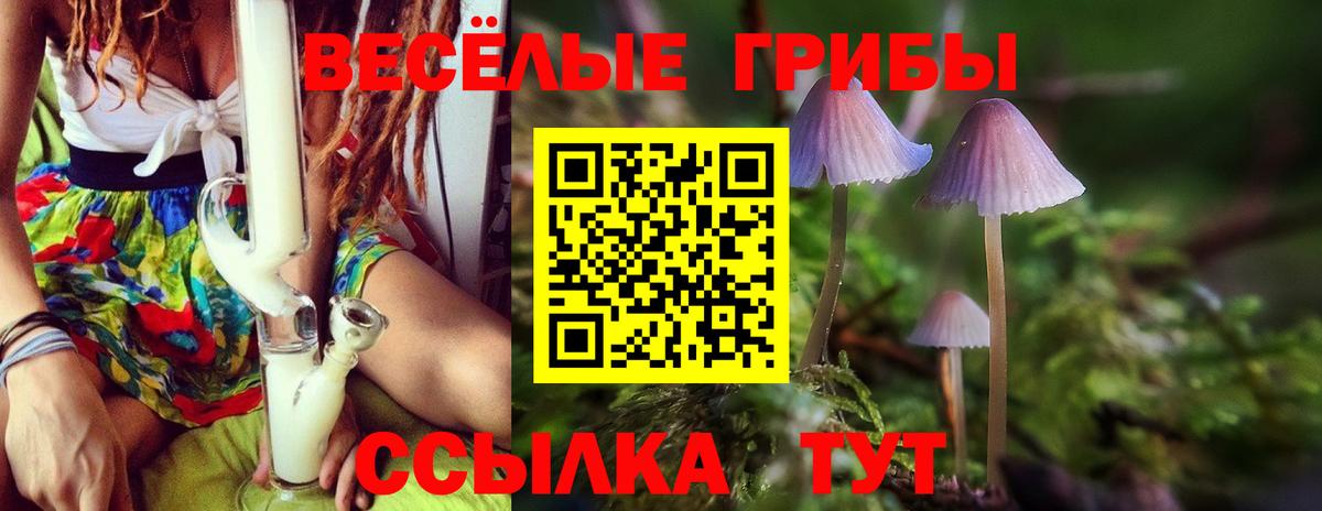 Галлюциногенные грибы ЛСД Сегежа