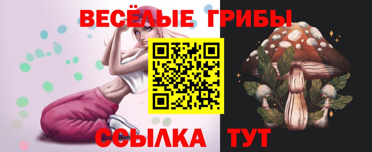 Галлюциногенные грибы Magic Shrooms  где можно купить наркотик  Сегежа  Галлюциногенные грибы мицелий  Вход с VPN 